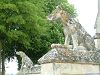 Cliquez ici pour voir l'image (Loire 029.jpg)